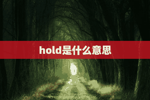 hold是什么意思(hold是什么意思中文)